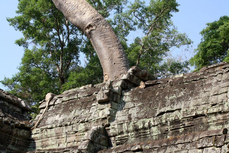 Cambodia photo 14