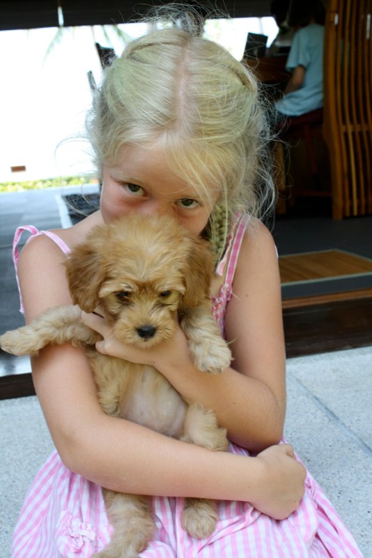 I love this puppy
