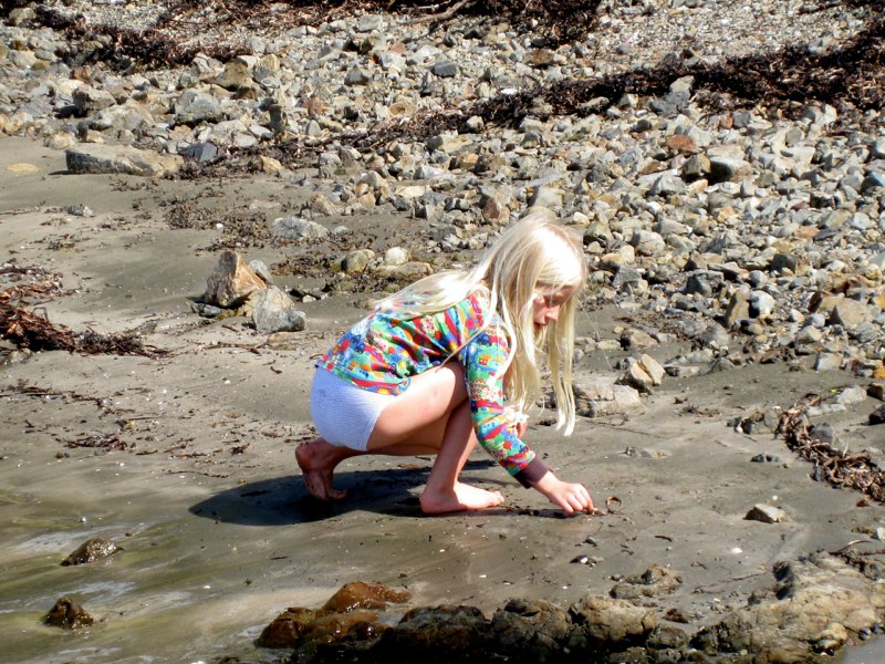 Estelle picking shells