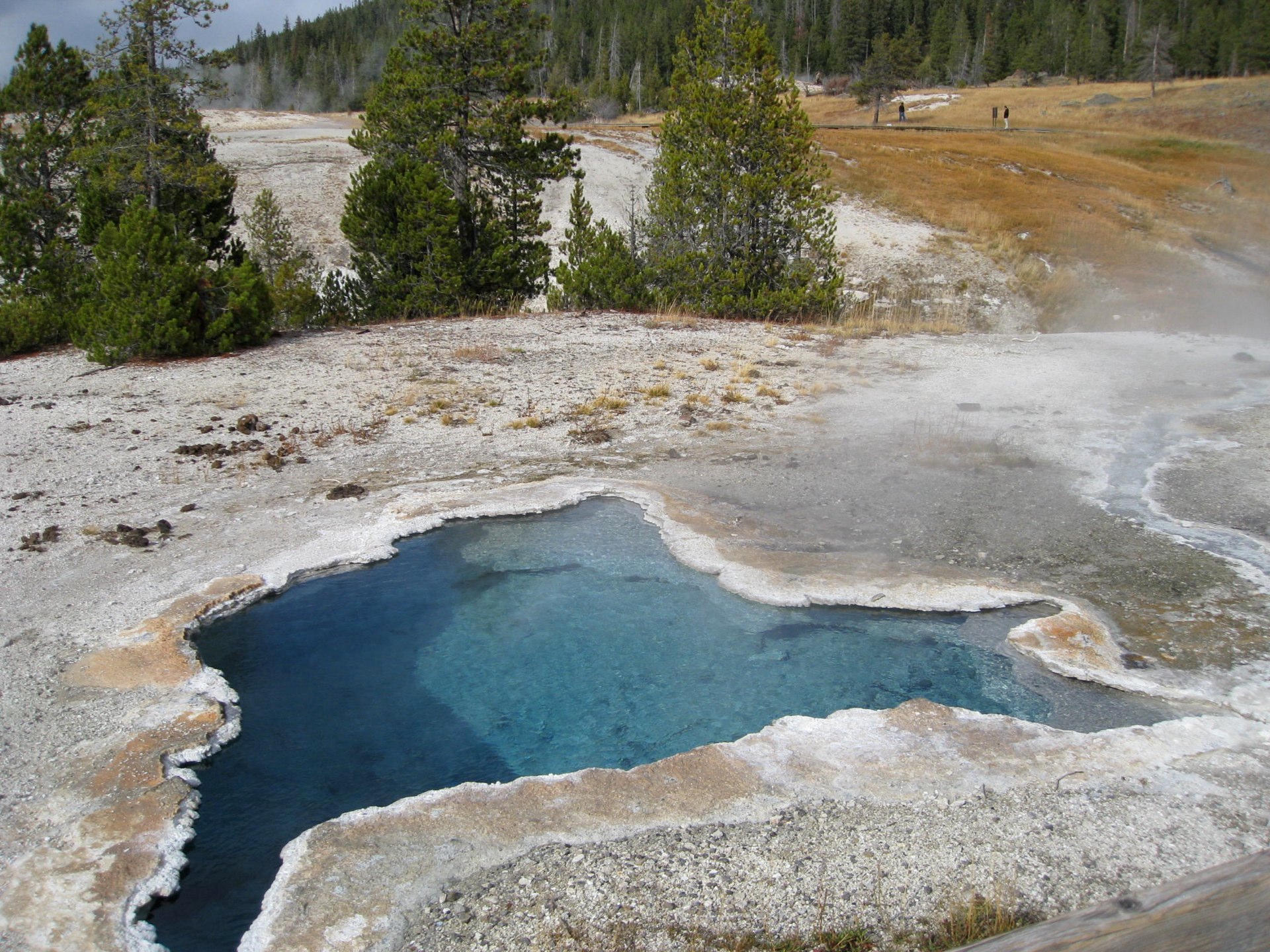 Montana photo 68