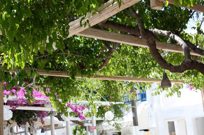 Mykonos photo 44