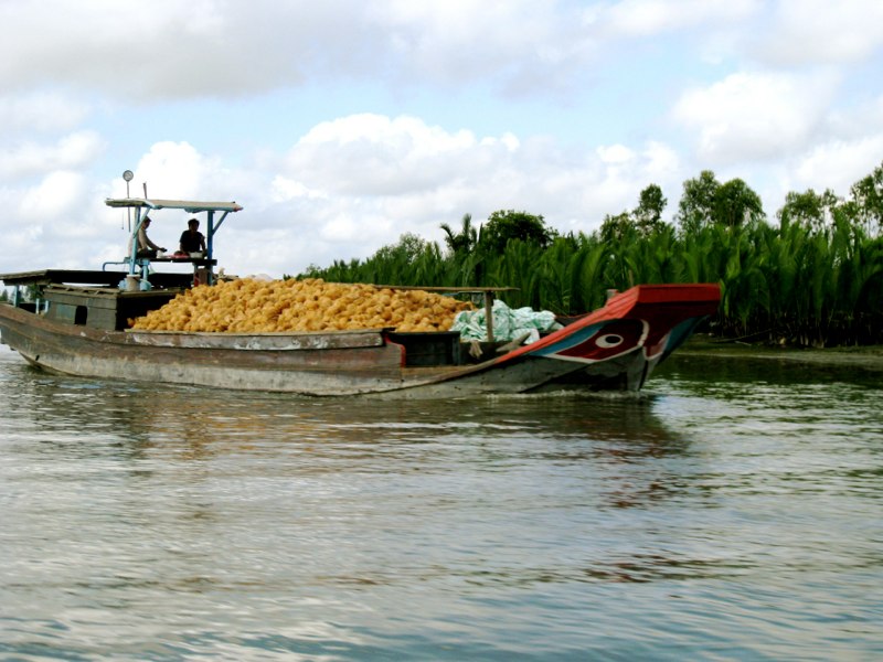 A ship going to the floating market