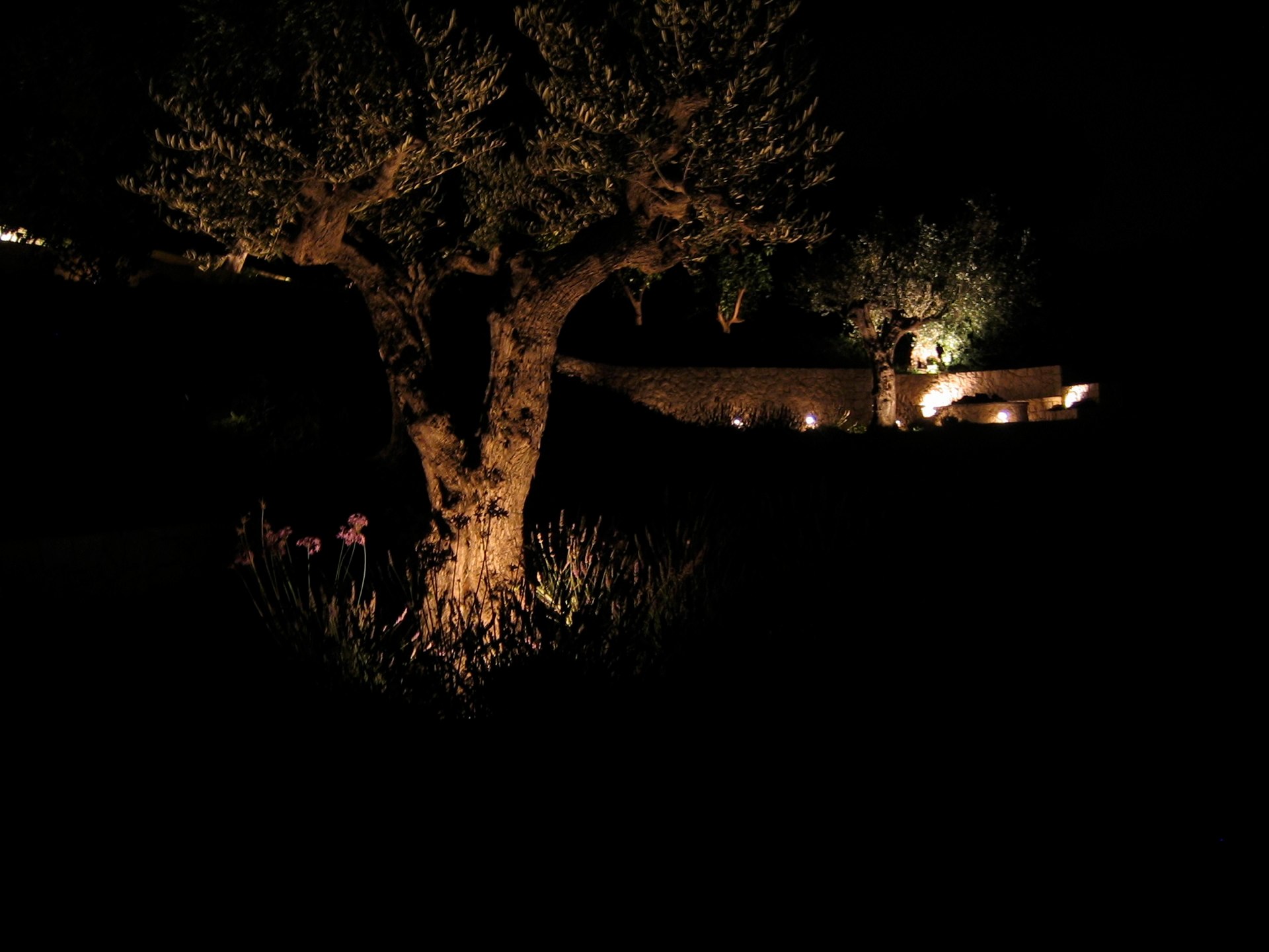 Our house in Nice photo 28