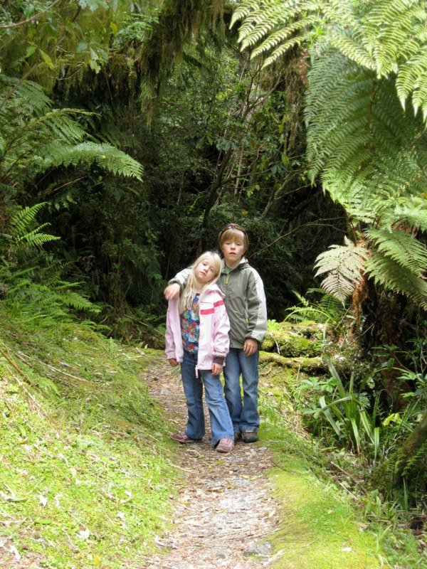 Entry to rainforest