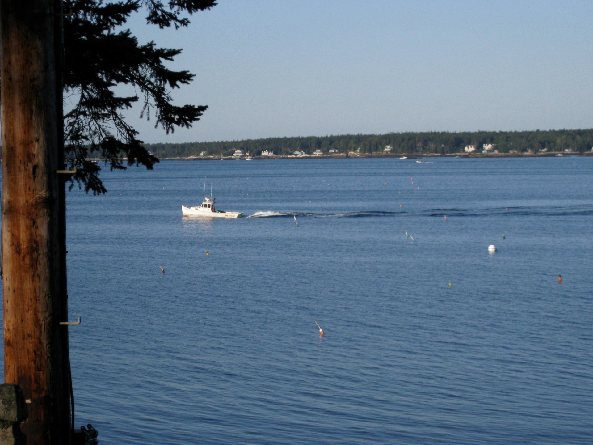 Boat going fishing