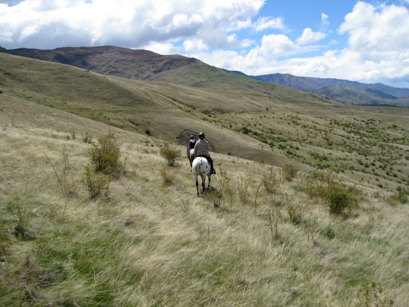 Over the hills