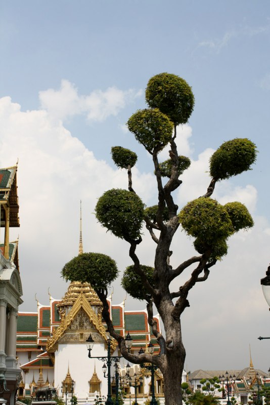 Bangkok photo 49