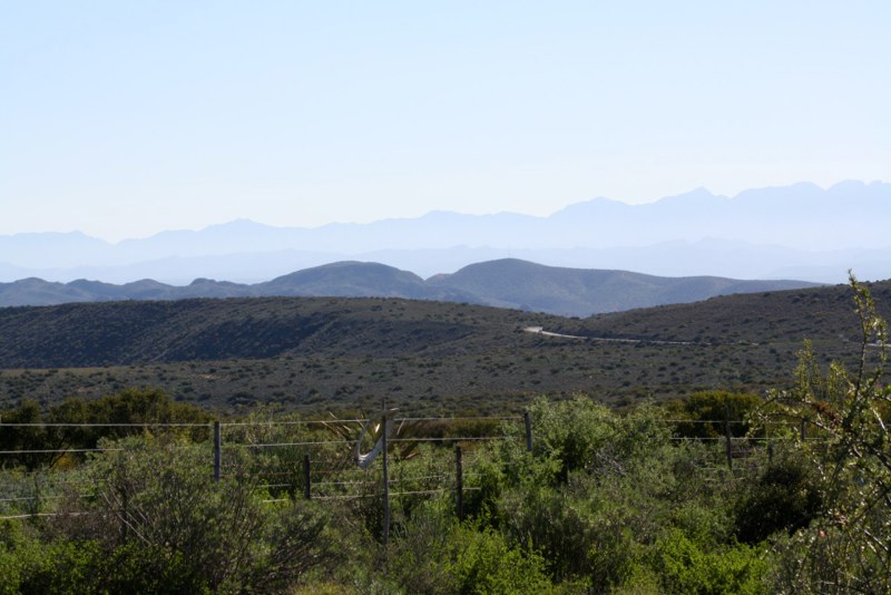 View on our way to Oudtshoorn