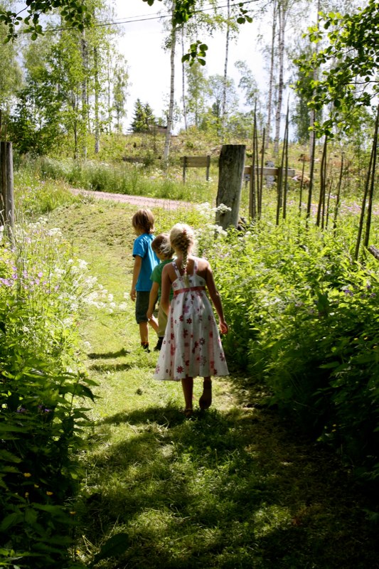 Sweden 2 photo 76