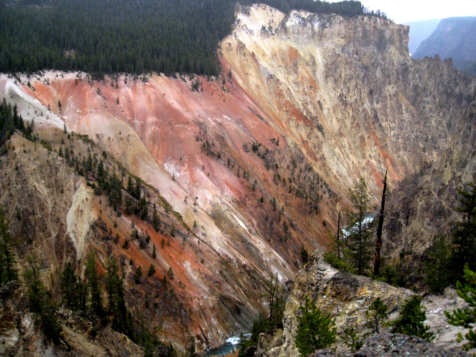 Montana photo 39