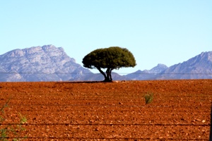 Beautiful South Africa