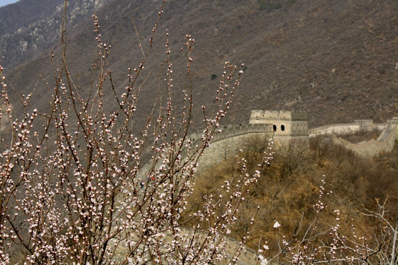 Beijing, China photo 63