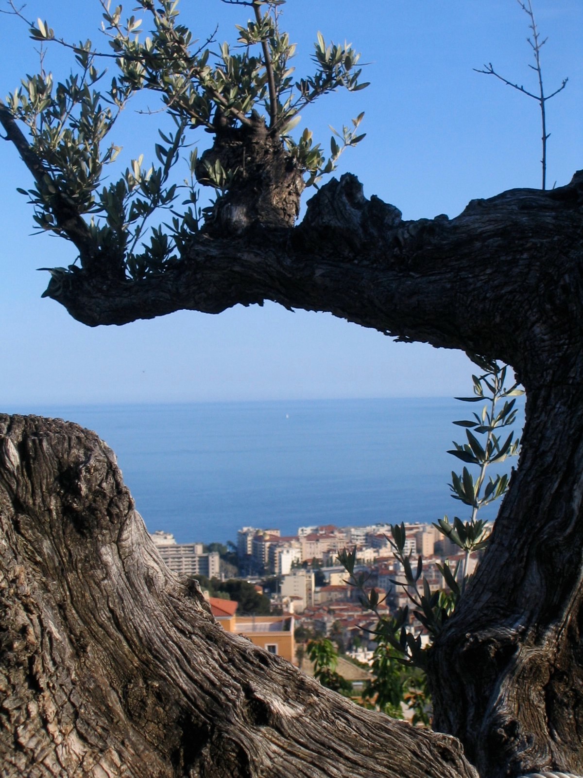 Our house in Nice photo 23