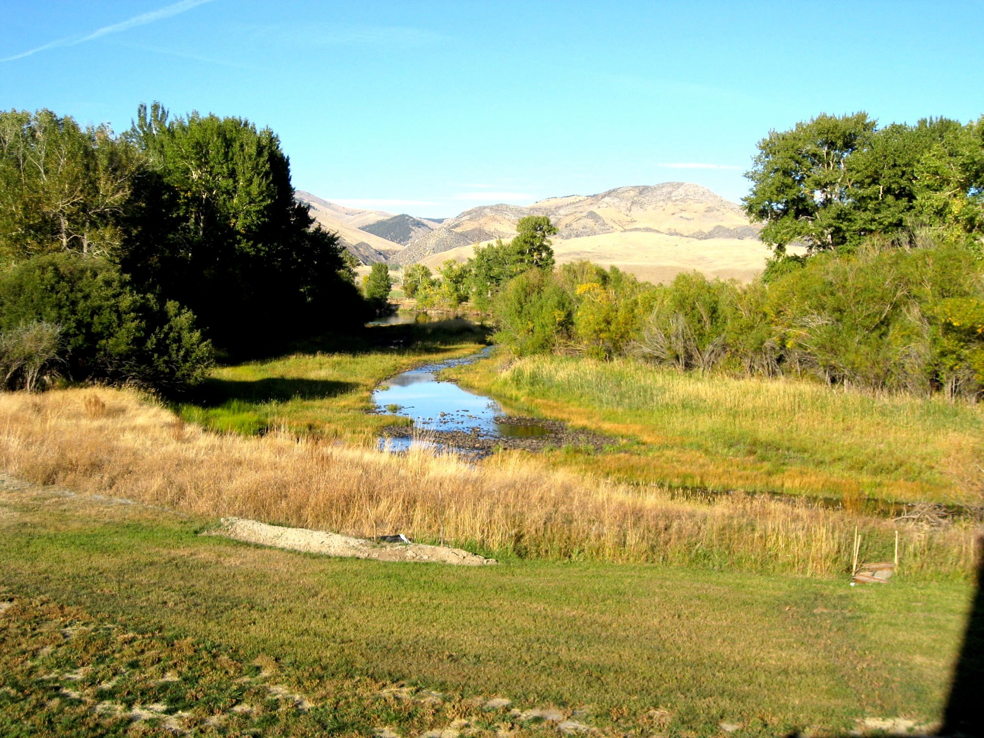 Montana photo 96