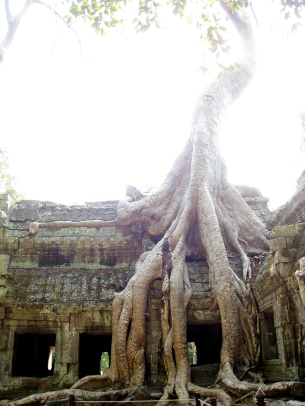 Ta Prohm