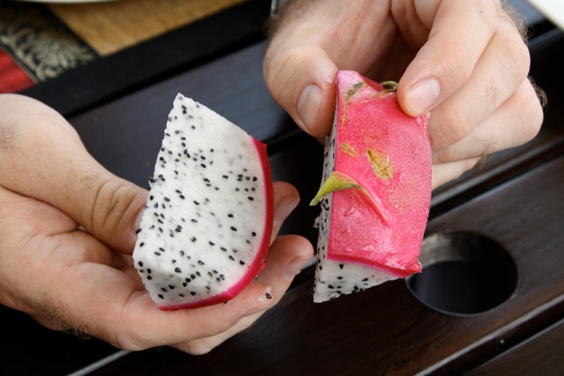 Dragon fruit