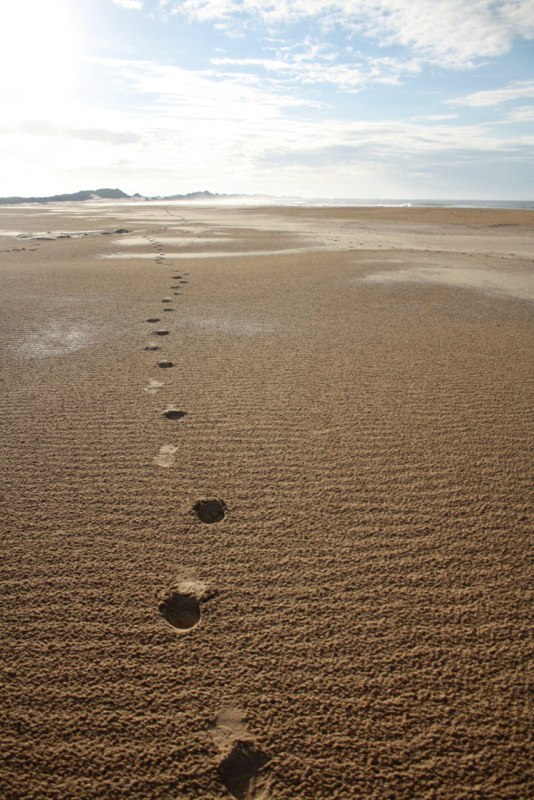 Foot steeps in the sand