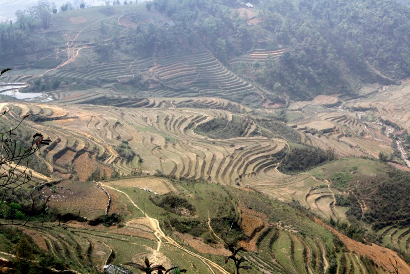 Sapa photo 25