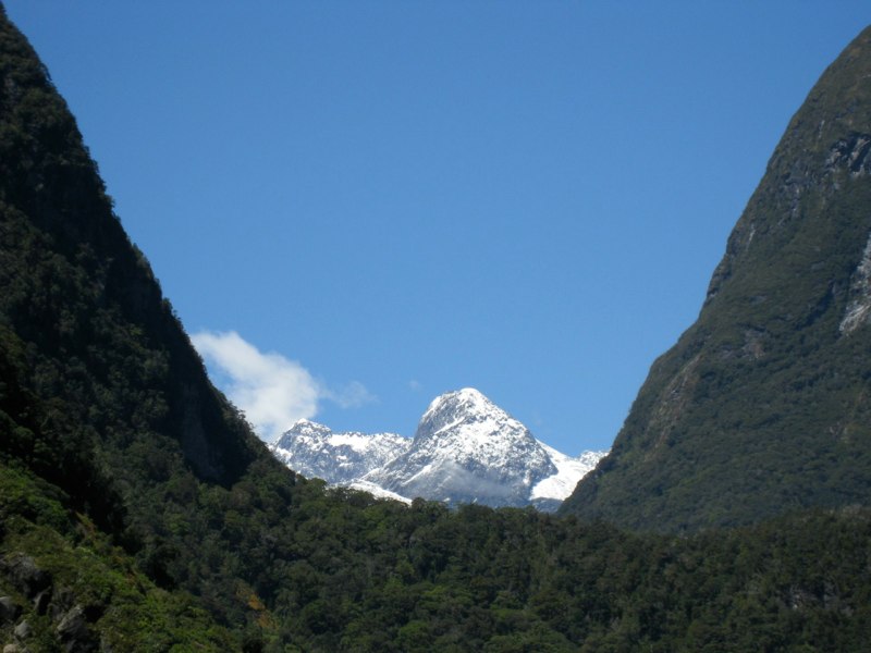 NZ Queenstown &Milford sounds photo 58