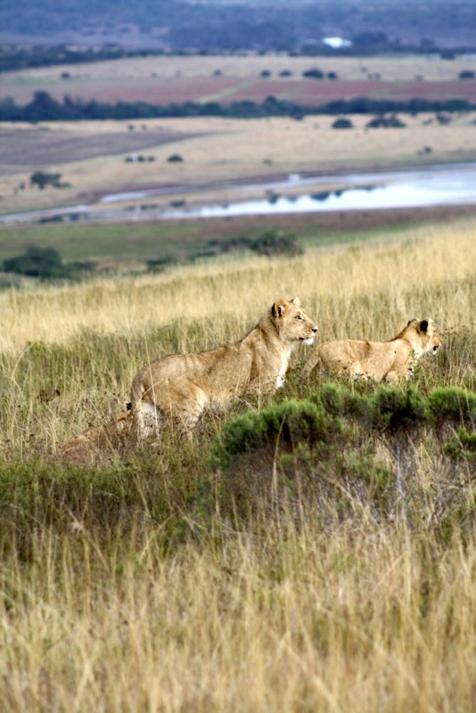 Eastern Cape photo 89