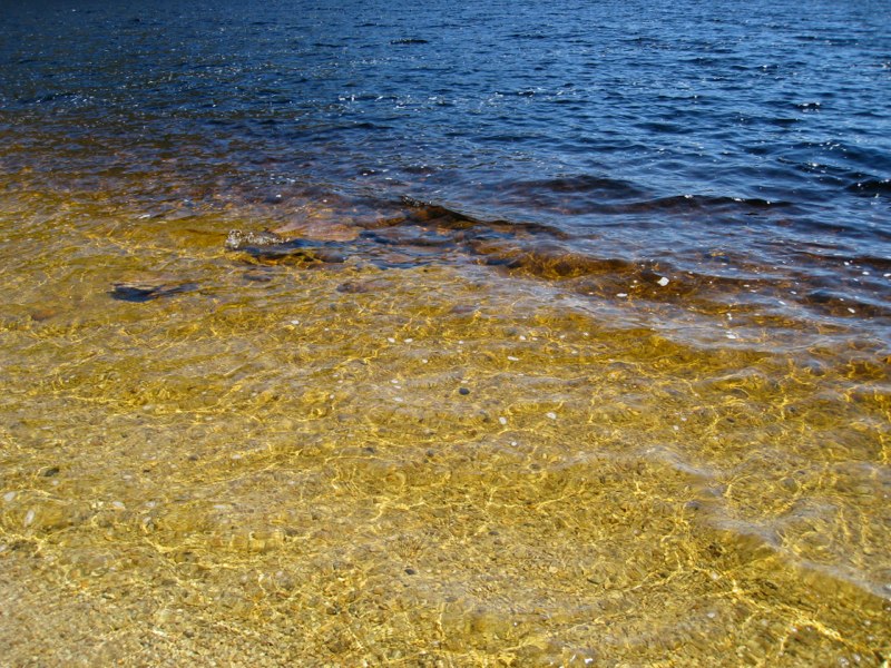 AUS-Tasmania photo 48