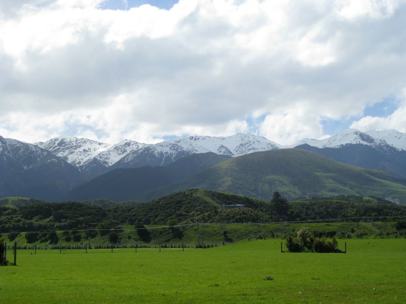 Look at the view from our window!