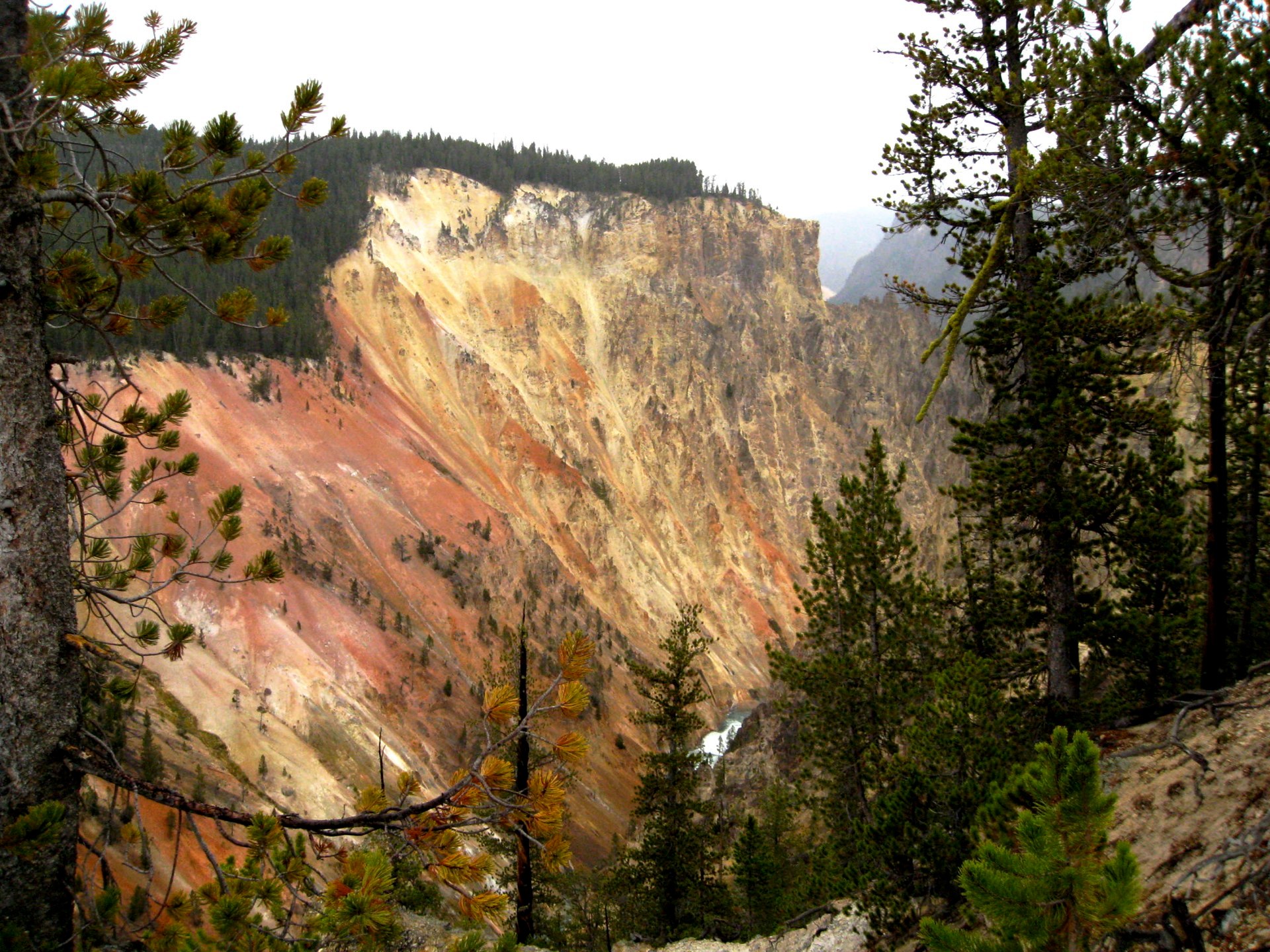 Montana photo 37