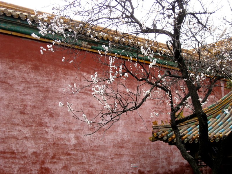 Beijing, China photo 22