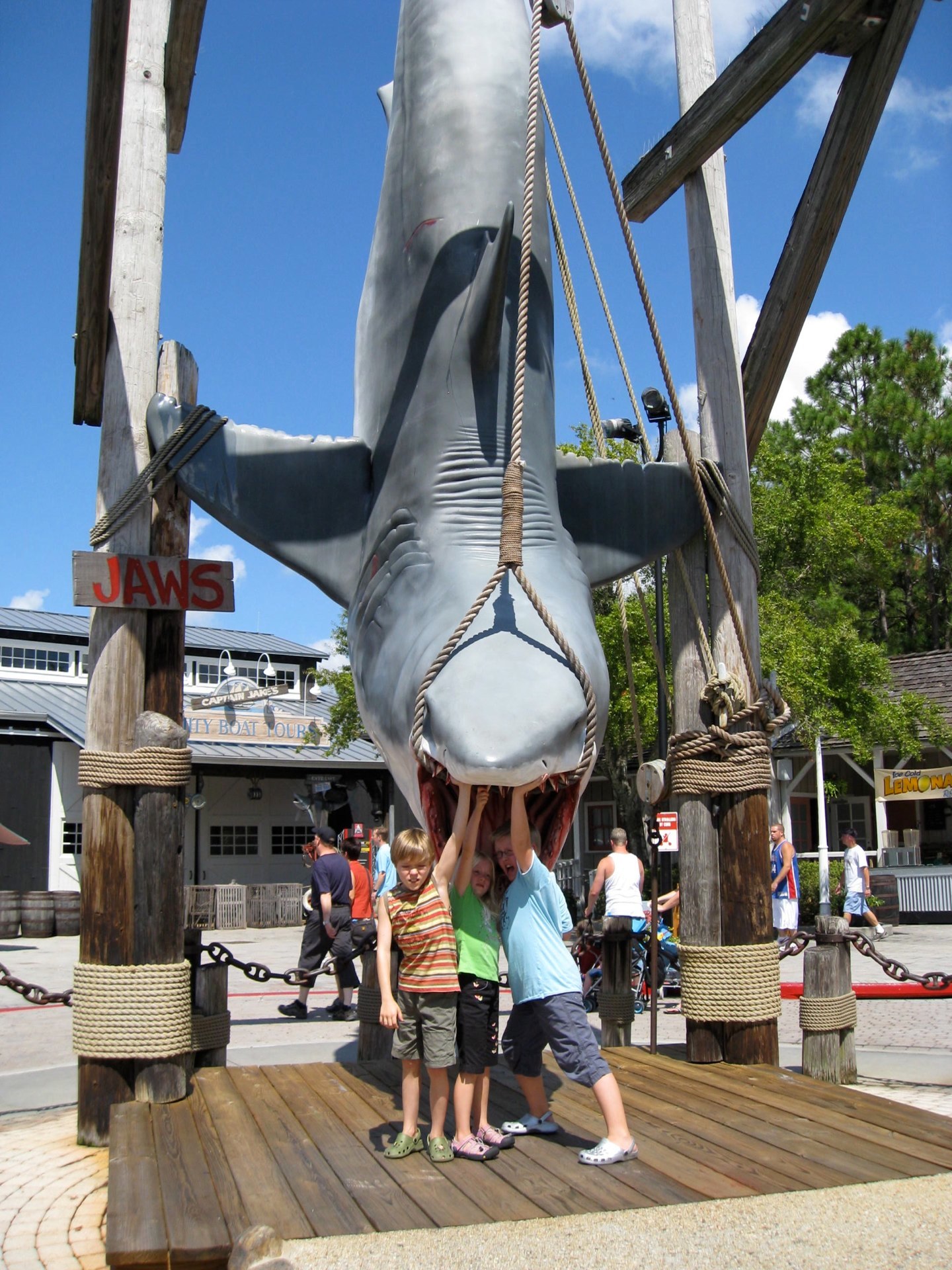 The shark!!