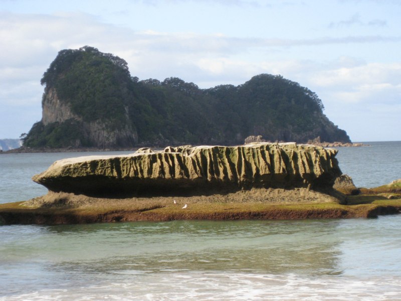 NZ Coromandel photo 47
