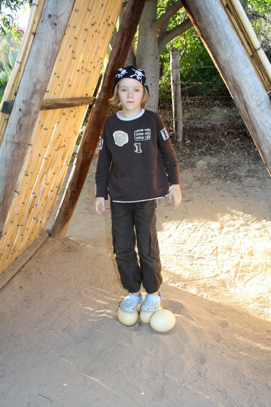 Oskar on ostrich eggs
