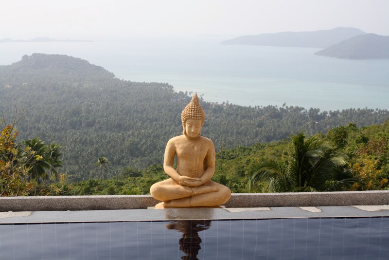 View from the pool
