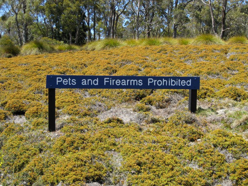 AUS-Tasmania photo 36