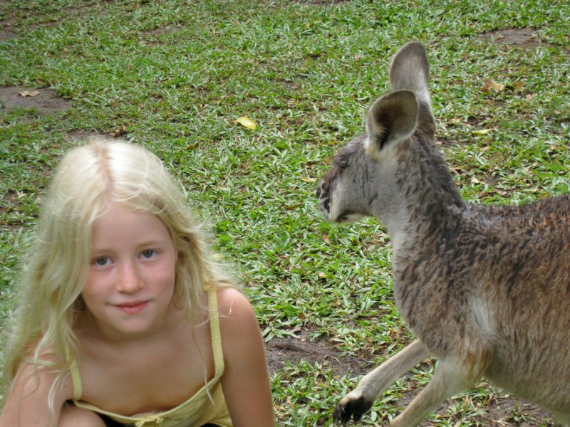 AUS-Sunshine Coast photo 28