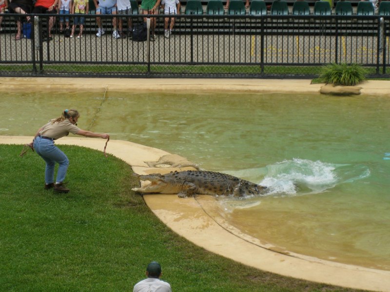 Food time