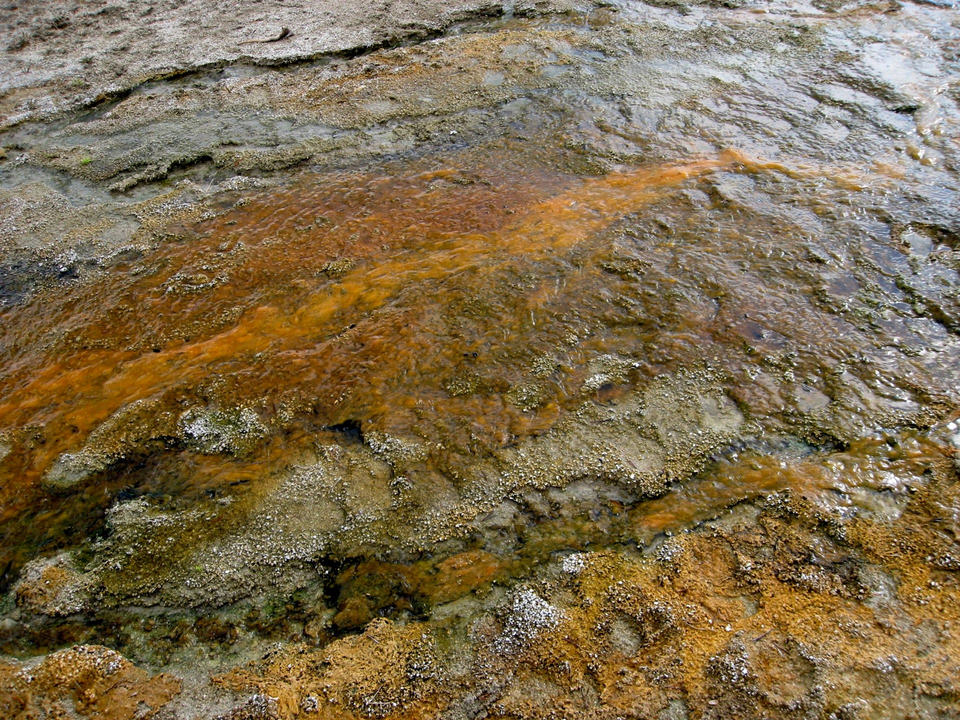 Montana photo 47