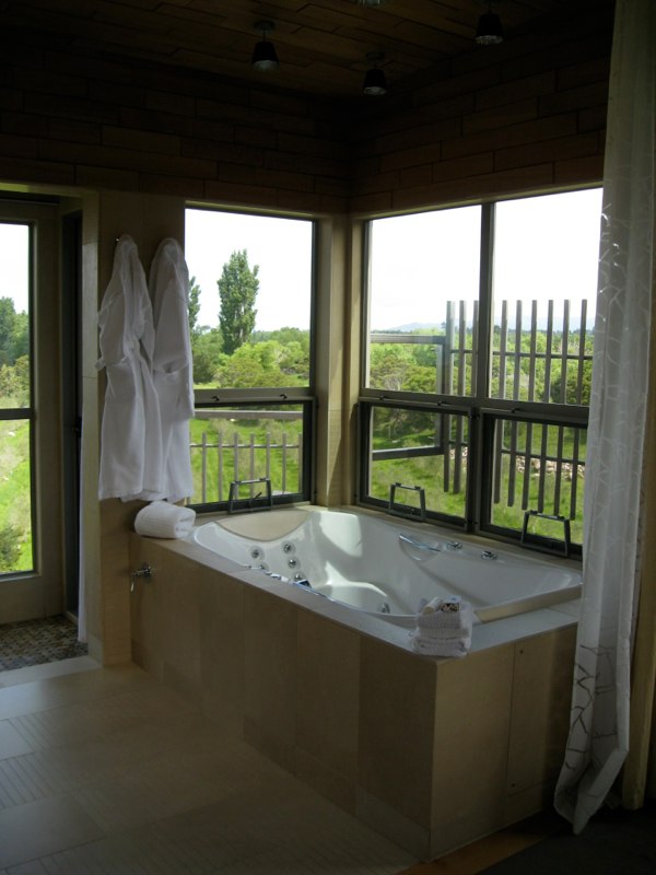 Look at the view from our bathtub!