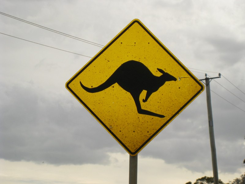 Yes we saw some!!