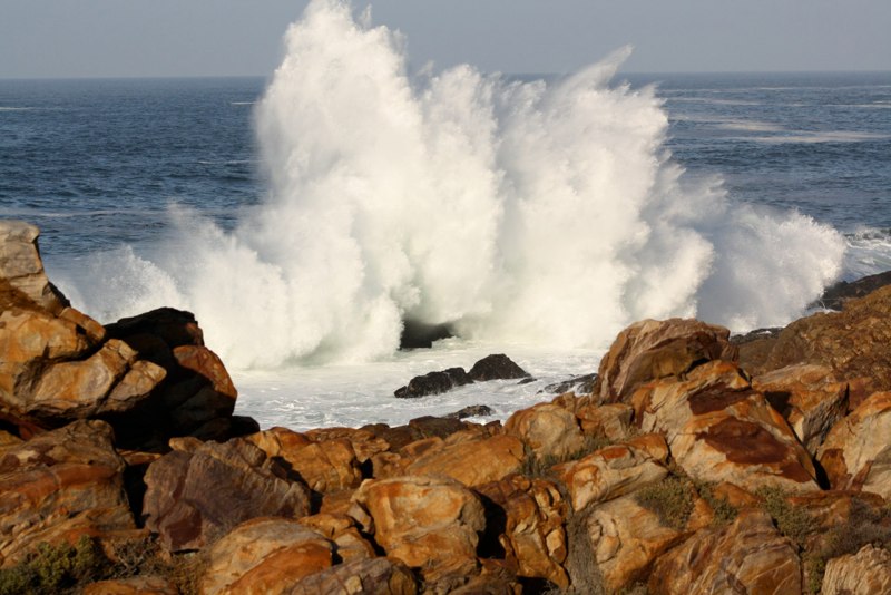 Garden Route 2 photo 8