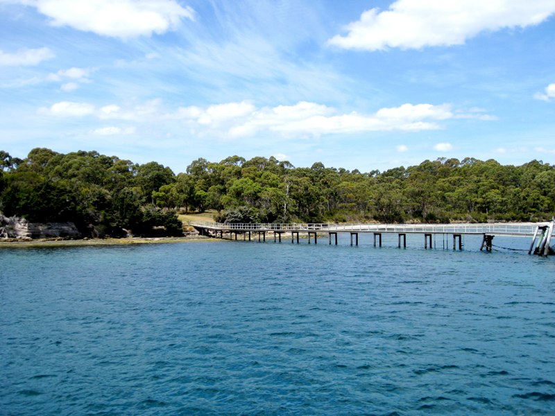 AUS-Tasmania photo 74