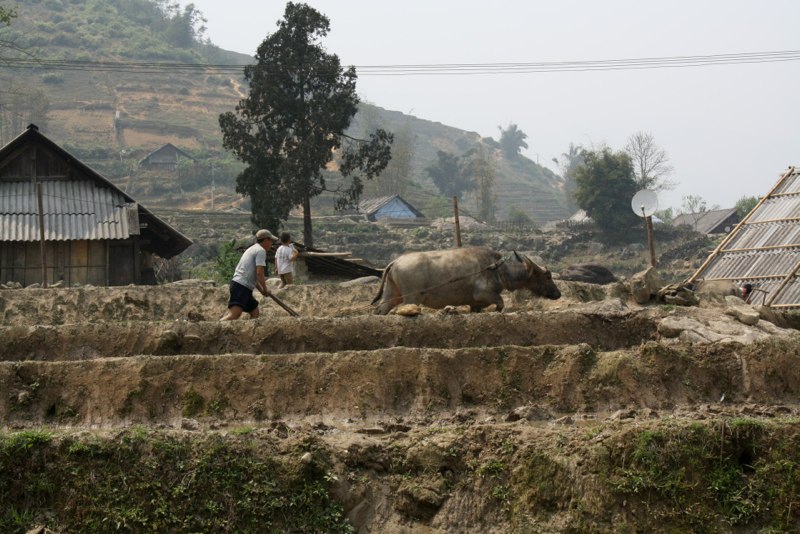 Sapa photo 32