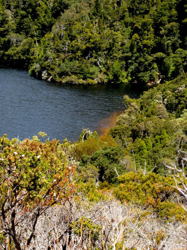AUS-Tasmania photo 58