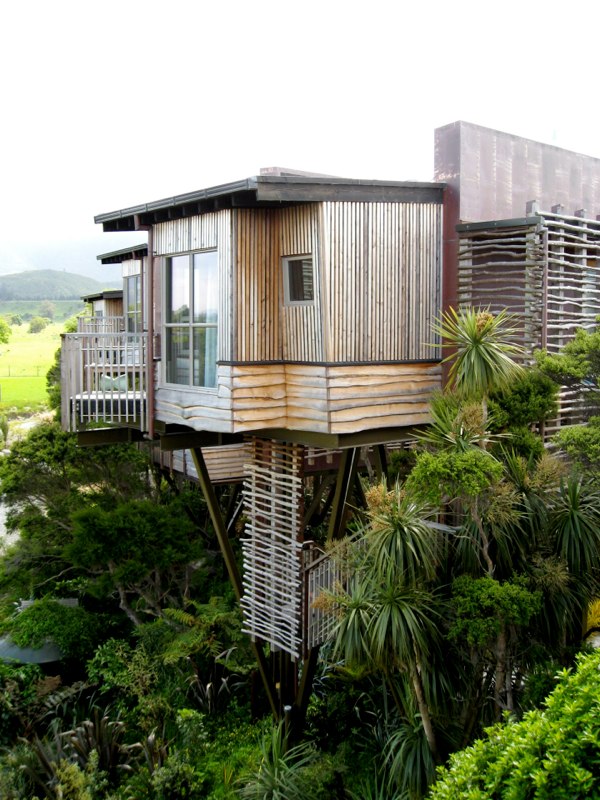 The tree house