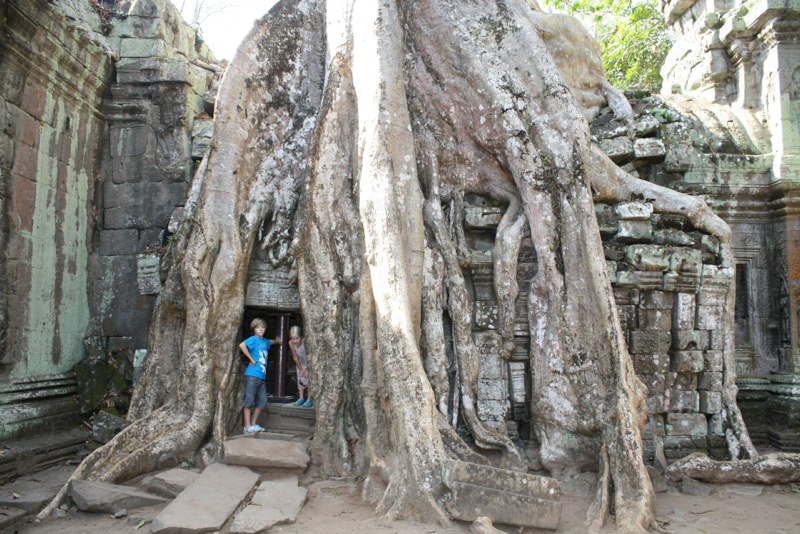 Check the SIZE of this tree