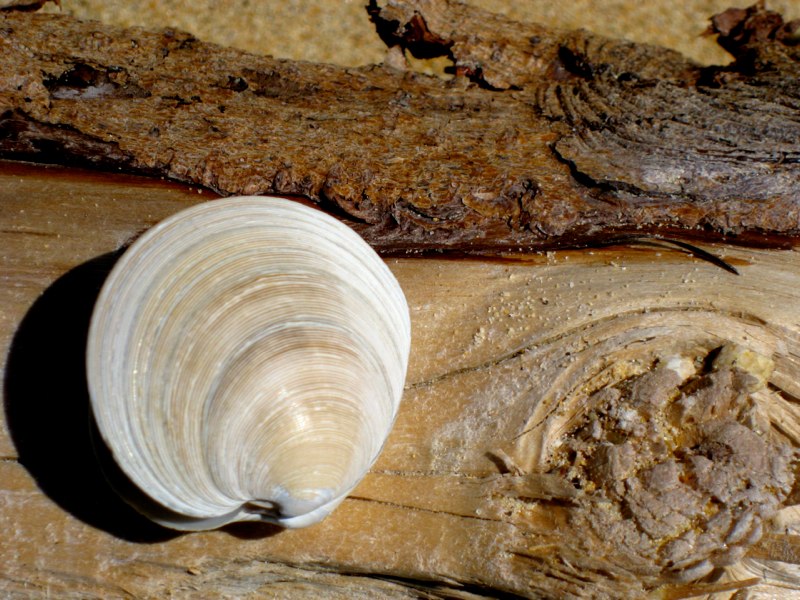 NZ Kaikoura photo 21