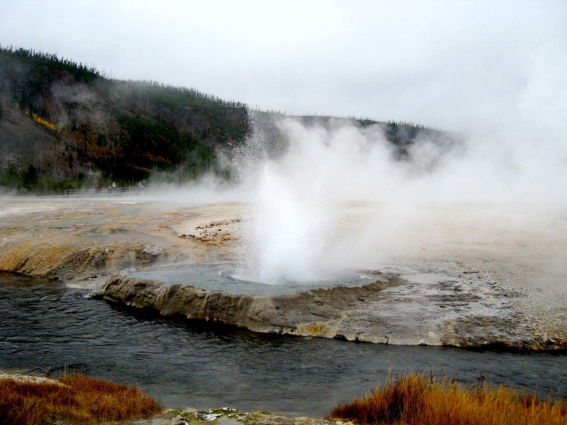 Montana photo 72