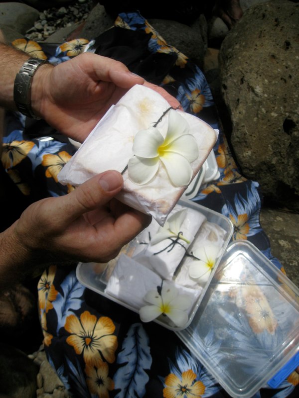 Picnic lunch