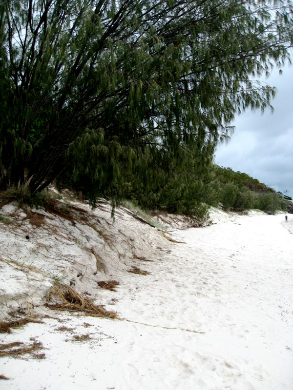 Whithaven beach