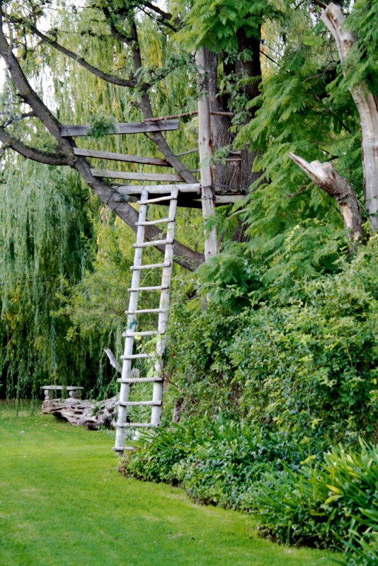 a real treehouse