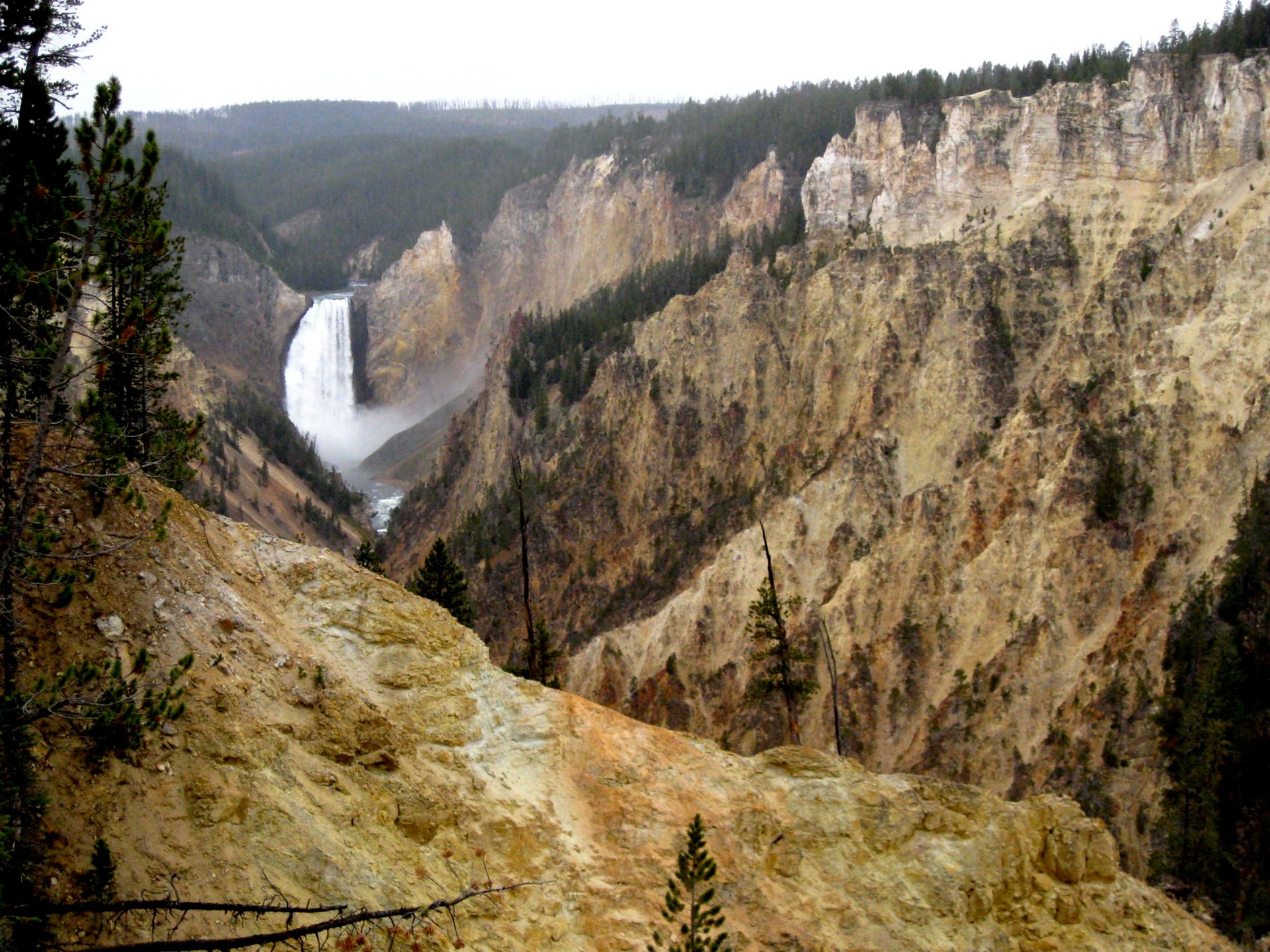 Montana photo 35